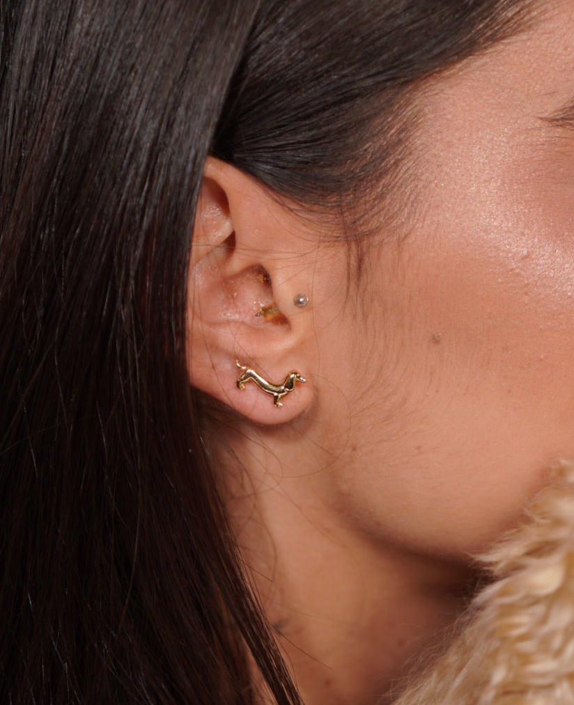 Earrings Damon