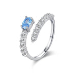 Ring Swamy