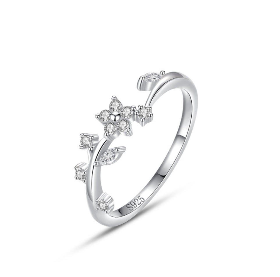 Ring nature